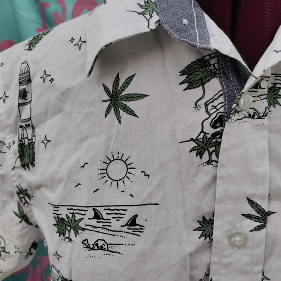 Button down shirt - Picture 4 of 5